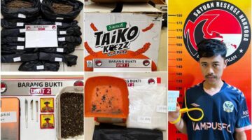 fhoto : tersangka tindak pidana narkotika yang digerebek dengan barang bukti 2,3 kg ganja