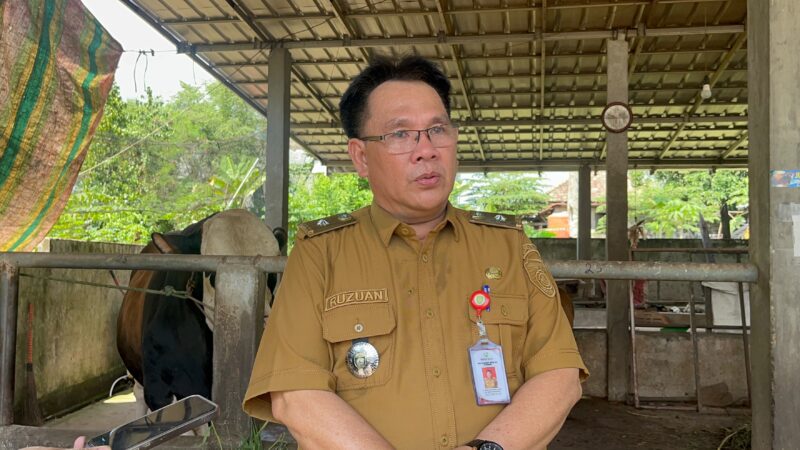 Kepala DKPP Sumsel, Ruzuan Efendi. Foto: Tia