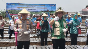 fhoto : tanam serentak bawang putih polres dan pemkot pagar alam dukung swasembada 