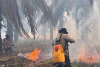 Personel Polda Sumsel padamkan api. Foto: dokumen polisi.