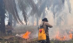 Api Mengancam, Polisi dan Perusahaan Bahu-Membahu Jinakkan Karhutla di OKI