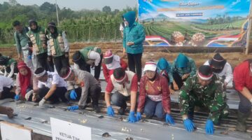 Pemkab dan Polres Empat Lawang Dorong Swasembada Pangan Lewat Budidaya Bawang Putih