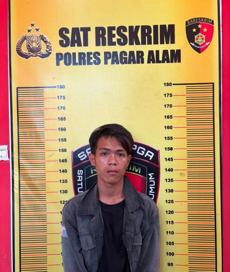 fhoto (istimewa) : pelaku pencurian dengan pemberatan di wilayah hukum polres pagar alam