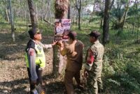 Kapolsek Buay Madang Timur Iptu Swisspo, bersama Camat Buay Madang Timur Ramadhan Agusten, dan perwakilan Koramil 403-05 Buay Madang menempelkan maklumat stiker larangan membakar hutan dan lahan di area perkebunan Desa Pengandonan, Kabupaten OKU Timur.