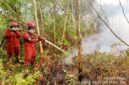 Caption: Kebakran Hutan dan Lahan di wilayah Ogan Komering Ilir, Sumsel. Foto: Mangga Agni