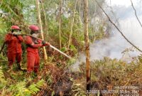 Caption: Kebakran Hutan dan Lahan di wilayah Ogan Komering Ilir, Sumsel. Foto: Mangga Agni
