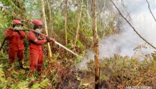 Caption: Kebakran Hutan dan Lahan di wilayah Ogan Komering Ilir, Sumsel. Foto: Mangga Agni