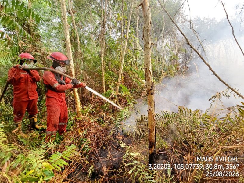 Caption: Kebakran Hutan dan Lahan di wilayah Ogan Komering Ilir, Sumsel. Foto: Mangga Agni