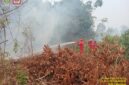 Caption: Tim satgas karhutla saat berjibaku memadamkan api di wilayah Gandus, Palembang. Foto: Mangga Agni