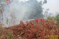 Caption: Tim satgas karhutla saat berjibaku memadamkan api di wilayah Gandus, Palembang. Foto: Mangga Agni