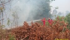 Caption: Tim satgas karhutla saat berjibaku memadamkan api di wilayah Gandus, Palembang. Foto: Mangga Agni