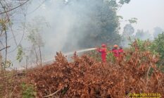 Asap Karhutla dari OKI dan Muba Selimuti Palembang hingga Jambi, Pusat Beri Bantuan Tambahan