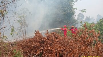 Caption: Tim satgas karhutla saat berjibaku memadamkan api di wilayah Gandus, Palembang. Foto: Mangga Agni