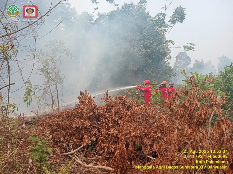 Caption: Tim satgas karhutla saat berjibaku memadamkan api di wilayah Gandus, Palembang. Foto: Mangga Agni