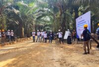 Bukan Hanya Soal Pabrik, Mutu TBS dan Rendemen Sawit Ditentukan Sejak dari Kebun