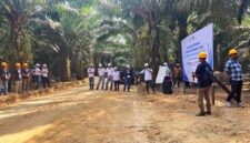 Bukan Hanya Soal Pabrik, Mutu TBS dan Rendemen Sawit Ditentukan Sejak dari Kebun