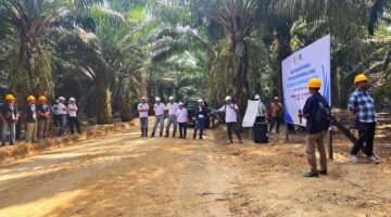Bukan Hanya Soal Pabrik, Mutu TBS dan Rendemen Sawit Ditentukan Sejak dari Kebun