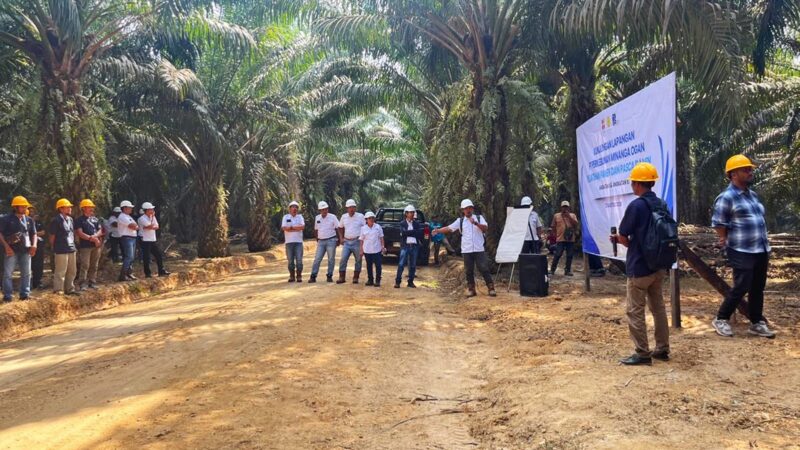 Bukan Hanya Soal Pabrik, Mutu TBS dan Rendemen Sawit Ditentukan Sejak dari Kebun