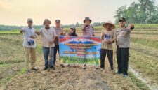 Kapolsek Buay Madang Timur Iptu Swisspo, bersama jajaran personel Polsek BMT, perangkat desa, dan petani setempat membentangkan spanduk saat aksi penanaman jagung serentak Kuartal III Tahun 2026 di Desa Gumuk Rejo, Kecamatan Buay Madang Timur, Kabupaten OKU Timur, Sumatera Selatan.