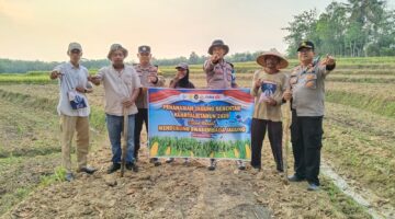 Kapolsek Buay Madang Timur Iptu Swisspo, bersama jajaran personel Polsek BMT, perangkat desa, dan petani setempat membentangkan spanduk saat aksi penanaman jagung serentak Kuartal III Tahun 2026 di Desa Gumuk Rejo, Kecamatan Buay Madang Timur, Kabupaten OKU Timur, Sumatera Selatan.
