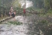 fhoto : kerusakan atap rumah serta pohom tumbang akibat hujan dan angin kencang di Pagar Alam