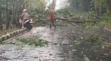fhoto : kerusakan atap rumah serta pohom tumbang akibat hujan dan angin kencang di Pagar Alam