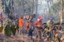 fhoto : pemadaman titik api di kwasan dempo selatan oleh petugas damkar dan bpbd pagar alam