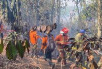 fhoto : pemadaman titik api di kwasan dempo selatan oleh petugas damkar dan bpbd pagar alam