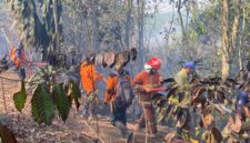 fhoto : pemadaman titik api di kwasan dempo selatan oleh petugas damkar dan bpbd pagar alam