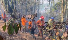 Damkar Kewalahan Atasi Karhutlah Di Kawasan Dempo Selatan,Setiap Hari Laporan Titik Api Datang Bertubi-tubi 