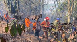 fhoto : pemadaman titik api di kwasan dempo selatan oleh petugas damkar dan bpbd pagar alam