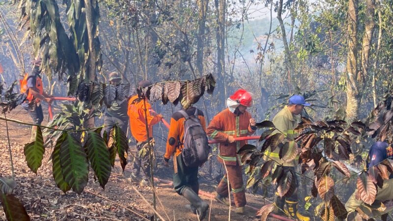 fhoto : pemadaman titik api di kwasan dempo selatan oleh petugas damkar dan bpbd pagar alam