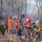 fhoto : pemadaman titik api di kwasan dempo selatan oleh petugas damkar dan bpbd pagar alam