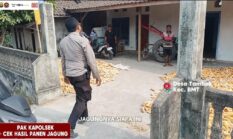 Kapolsek Buay Madang Timur Turun Langsung Cek Kualitas Panen Jagung Warga Tambak Boyo