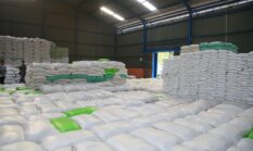 Biaya Pengemasan Tinggi Penyebab Beras Premium Kemasan 5 Kg Langka di Pasaran Sumsel