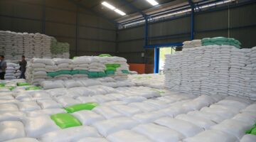 Stok beras di gudang bulog sumsel babel. Foto: ilustrasi