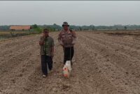 Kapolsek Buay Madang Timur Iptu Swisspo, menggunakan alat penanam manual didampingi pemilik lahan, Wakidin, saat menanam jagung hibrida di Desa Tanjung Mas.