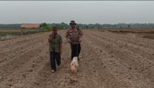 Kapolsek Buay Madang Timur Iptu Swisspo, menggunakan alat penanam manual didampingi pemilik lahan, Wakidin, saat menanam jagung hibrida di Desa Tanjung Mas.