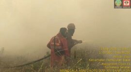 Tin Satgas Karhutla saat memadamkan kebakaran lahan di Pemulutan, Ogan Ilir. Foto: istimewa