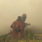 Tin Satgas Karhutla saat memadamkan kebakaran lahan di Pemulutan, Ogan Ilir. Foto: istimewa