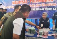 Foto pemusnahan oleh Gubernur Sumsel