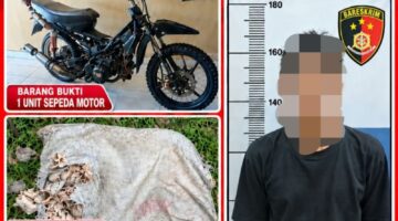 Tersangka beserta barang bukti saat diamankan. Foto: dokumen polisi.