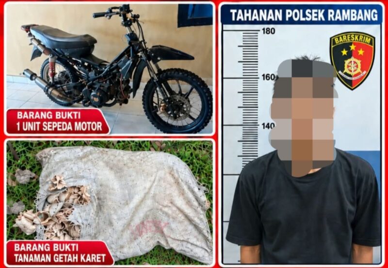Tersangka beserta barang bukti saat diamankan. Foto: dokumen polisi.