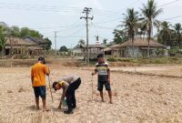 Bersama masyarakat petani Desa Tanjung Sari, Personil Polsek Buay Madang Timur bahu-membahu menanam jagung hibrida demi memperkuat ketahanan pangan nasional di kuartal III tahun 2026.