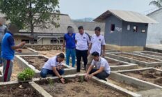 Hijaukan Lahan Wujudkan Ketahanan Pangan