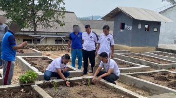 Hijaukan Lahan Wujudkan Ketahanan Pangan
