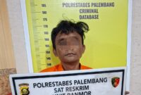 Pelaku 