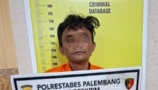 Pelaku