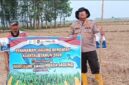Kapolsek Buay Madang Timur Iptu Swisspo bersama perwakilan petani membentangkan spanduk saat pelaksanaan penanaman jagung serentak kuartal III tahun 2026 di Kecamatan Buay Madang Timur, Kabupaten OKU Timur.