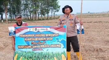 Kapolsek Buay Madang Timur Iptu Swisspo bersama perwakilan petani membentangkan spanduk saat pelaksanaan penanaman jagung serentak kuartal III tahun 2026 di Kecamatan Buay Madang Timur, Kabupaten OKU Timur.